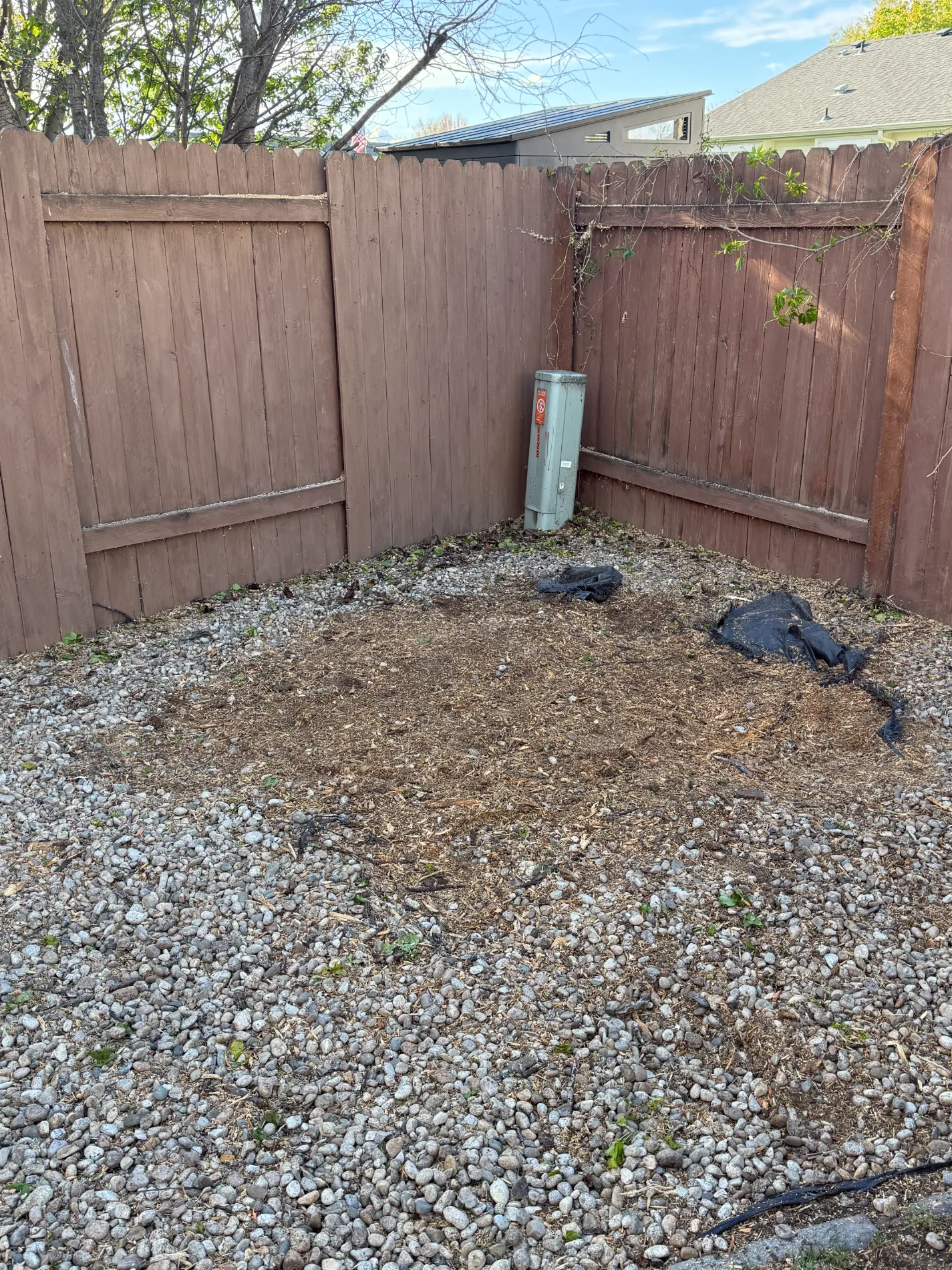 Fresh wood chips covering the ground after stump grinding in a fenced backyard corner.