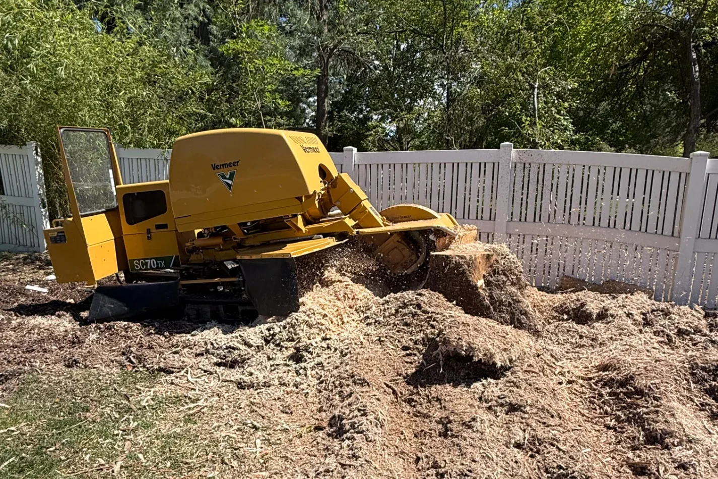 Yellow stump grinding machine cutting a large tree stump next to a white vinyl fence