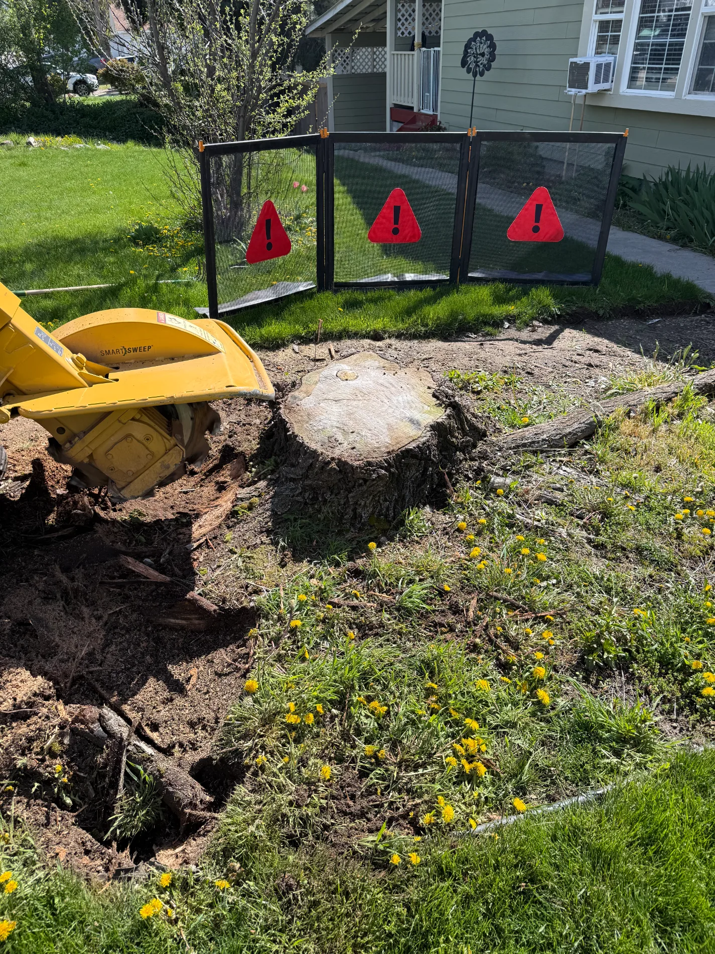 Yellow stump grinding machine positioned next to a tree stump with safety screens in a yard