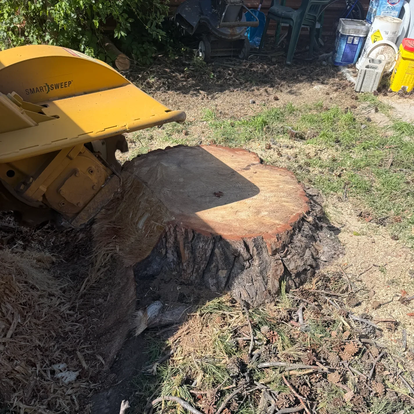 Yellow stump grinding machine positioned next to a large freshly cut tree stump in a yard.