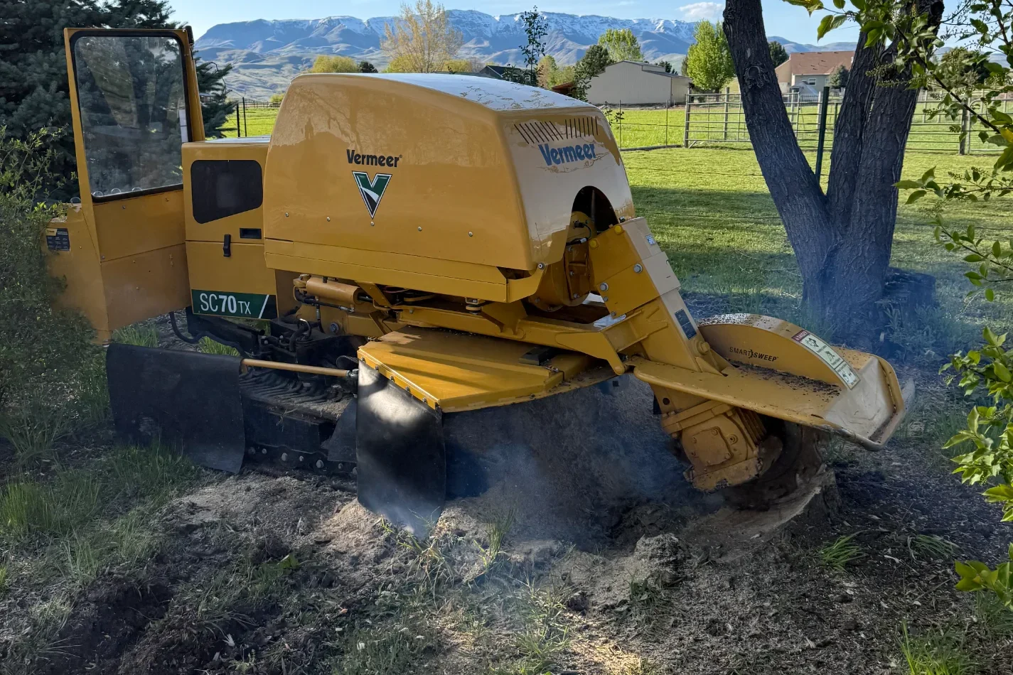 Yellow Vermeer stump grinding machine removing a tree stump in a grassy backyard