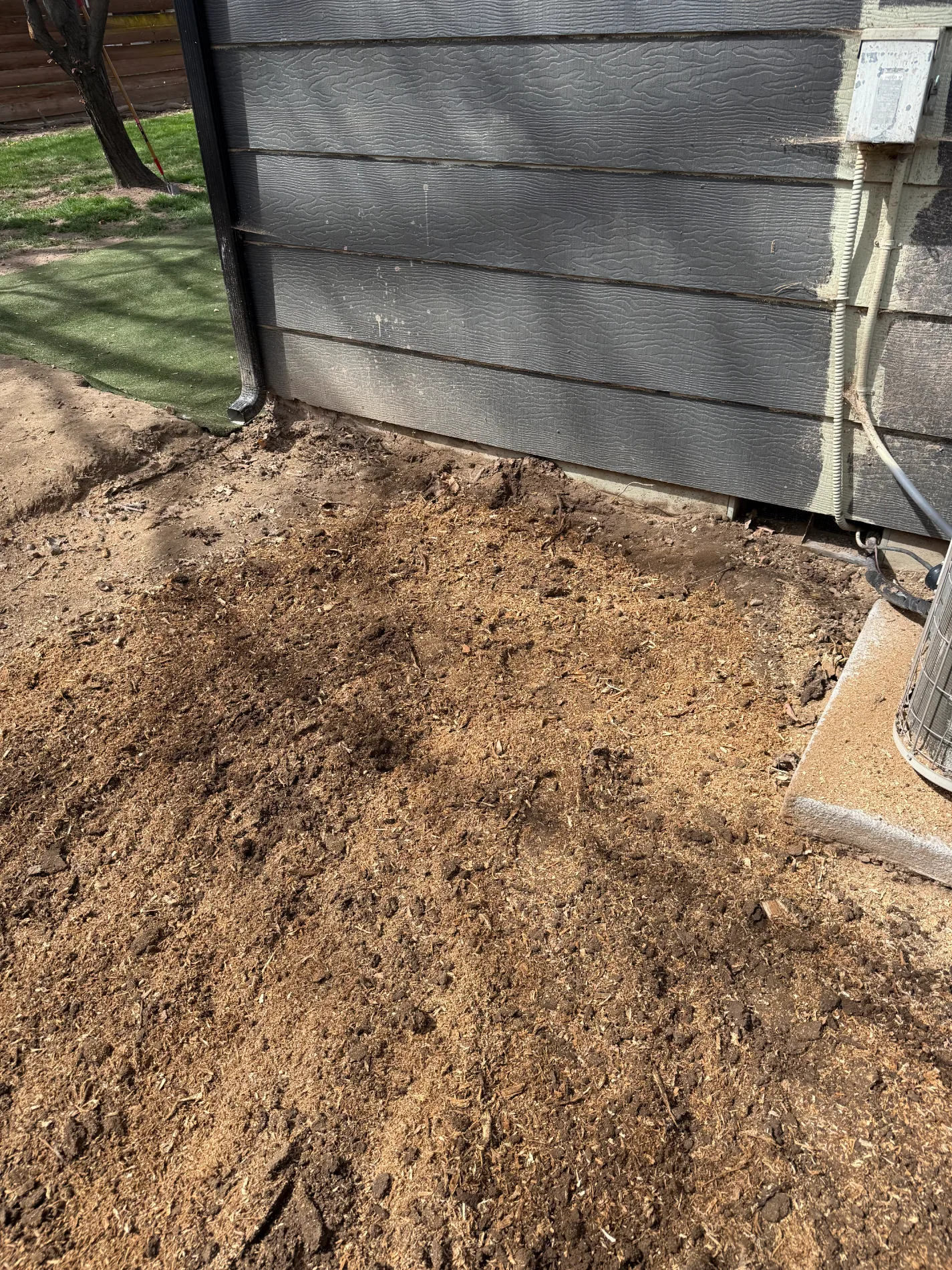 Fresh wood chips and soil next to a house siding after stump grinding