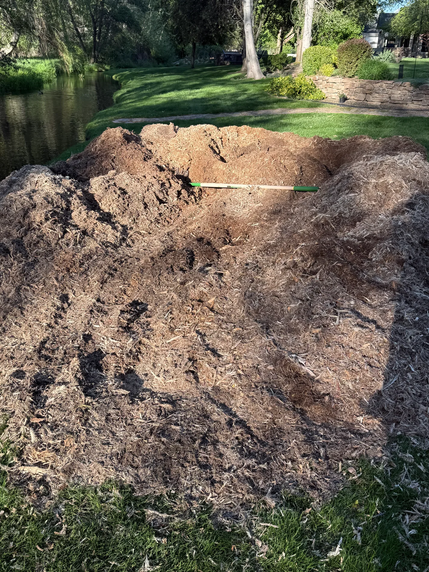 Large pile of fresh wood chips on a grassy lawn next to a creek after stump grinding.